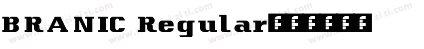 BRANIC Regular字体转换